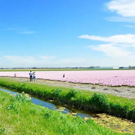 Badhotel 324 Apartment 3*